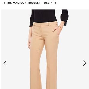 Ann Taylor brand new dress pants Madison fit